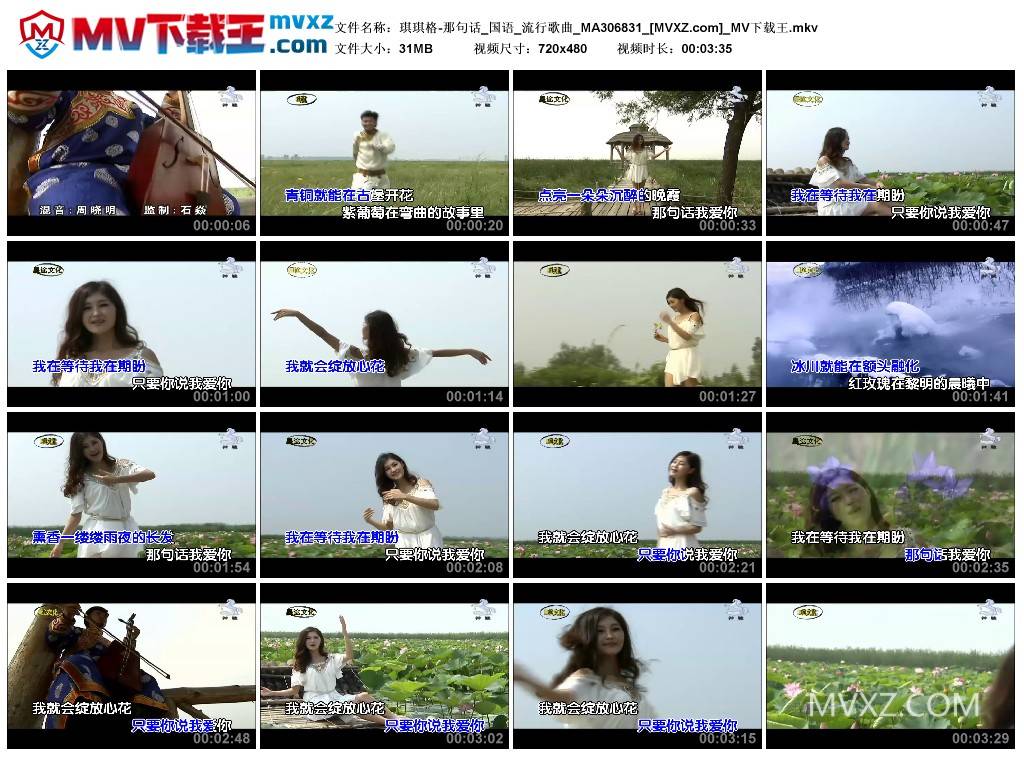 琪琪格-那句话_国语_流行歌曲_MA306831